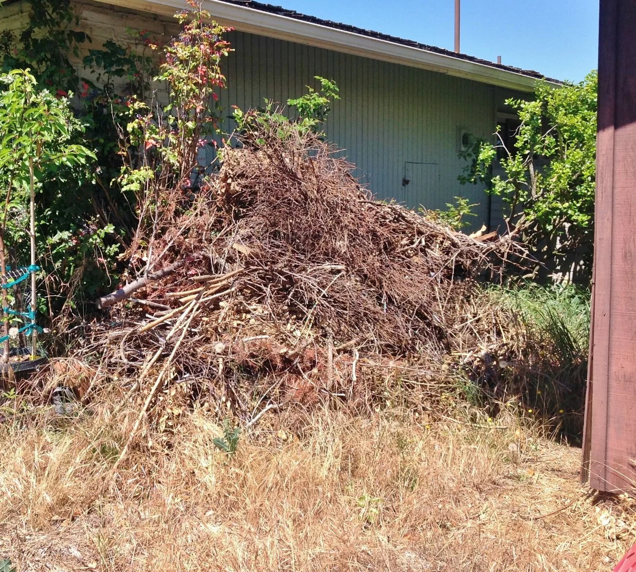 Yard debris removal Cypress